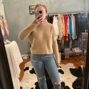 Thick Ribbed Turtleneck Sweater